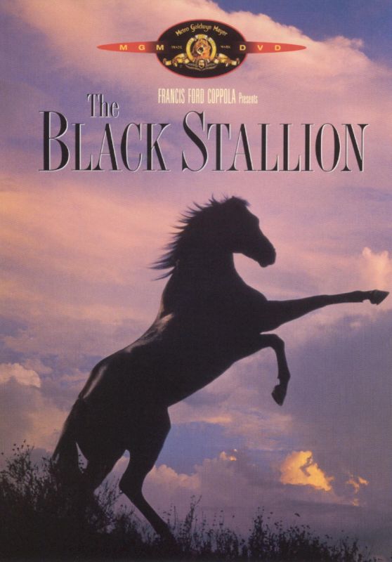 0027616626998 - THE BLACK STALLION (DVD)