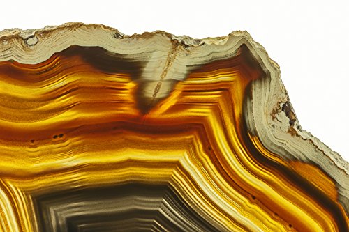 0028201088641 - EMPIRE ART DIRECT GOLDEN BROWN AGATE FRAMELESS FREE FLOATING TEMPERED GLASS PANEL GRAPHIC WALL ART