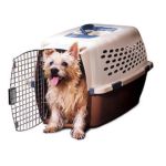 0029695210907 - PET TAXI PORTABLE KENNEL LARGE