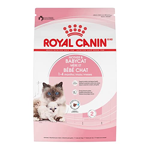 0030111450067 - ROYAL CANIN FELINE HEALTH NUTRITION MOTHER & BABYCAT DRY CAT FOOD FOR NEWBORN KITTENS AND PREGNANT OR NURSING CATS, 6 LB BAG