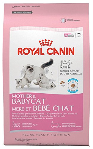 0030111542335 - ROYAL CANIN FELINE HEALTH NUTRITION MOTHER & BABYCAT DRY CAT FOOD, 3.5-POUND