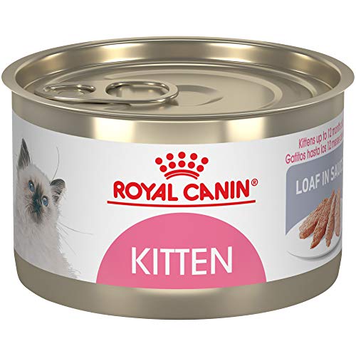 0030111941015 - ROYAL CANIN FELINE HEALTH NUTRITION KITTEN LOAF IN SAUCE CANNED CAT FOOD, 5.1 OZ CAN (PACK OF 24)