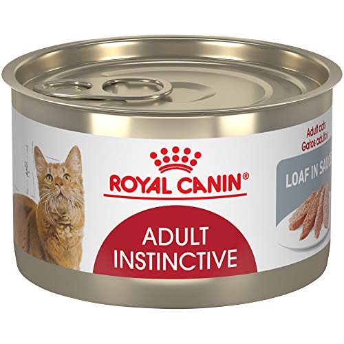 0030111941022 - ROYAL CANIN FELINE HEALTH NUTRITION ADULT INSTINCTIVE LOAF IN SAUCE CANNED CAT FOOD, 5.1 OZ CAN (PACK OF 24)
