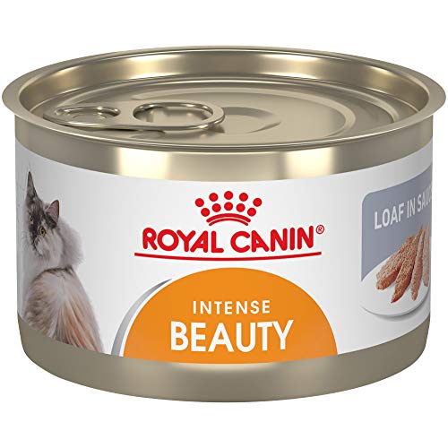 0030111941039 - ROYAL CANIN FELINE CARE NUTRITION INTENSE BEAUTY LOAF IN SAUCE CANNED CAT FOOD, 5.1 OZ CAN (PACK OF 24)