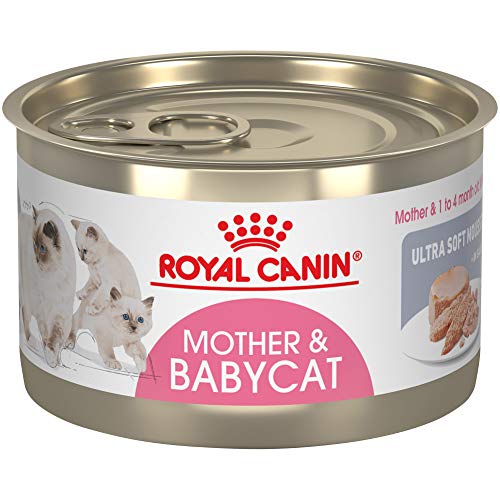 0030111941084 - ROYAL CANIN FELINE HEALTH NUTRITION MOTHER & BABYCAT ULTRA SOFT MOUSSE IN SAUCE CANNED CAT FOOD, 5.1 OZ CAN (PACK OF 24)