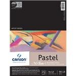 0030674191148 - CANSON MI-TEINTES PASTEL ASSORTED PAD 12 IN. X 16 IN.