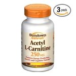 0030768040499 - ACETYL L-CARNITINE 250 MG,1 COUNT
