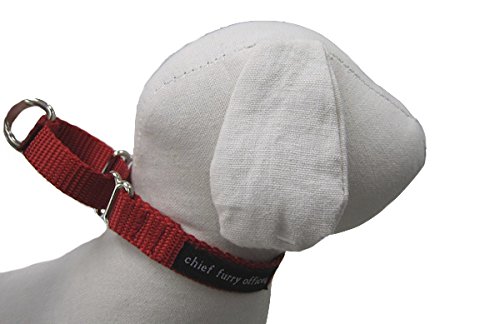 0313003030036 - CHIEF FURRY OFFICER SOLID WEBBING MARTINGALE COLLAR, MEDIUM, RED