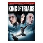 0031398149323 - KING OF TRIADS WIDESCREEN