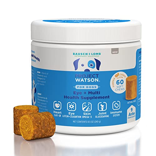 0324208022917 - PROJECT WATSON DOG SUPPLEMENT, HELPS SUPPORT HEALTHY EYES, JOINTS, SKIN & HEART, CONTAINS VITAMIN A & E, OMEGA-3, LUTEIN, ZEAXANTHIN, GLUCOSAMINE, CHONDROITIN, COENZYME Q10 AND ZINC, 60 SOFT CHEWS