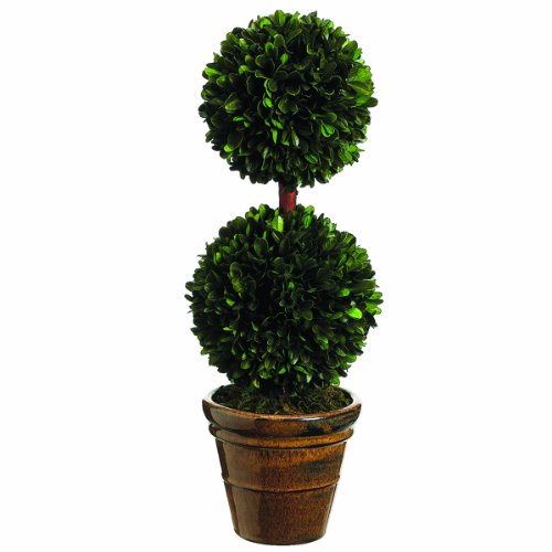 0033849290462 - SILK DECOR PRESERVED BOXWOOD DOUBLE BALL TOPIARY, 18.5-INCH, GREEN