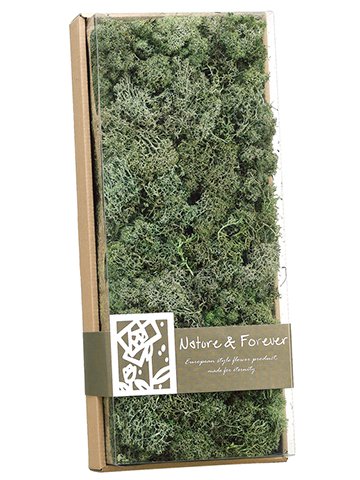 0033849439175 - 4.1HX7WX17L ASSORTED PRESERVED REINDEER MOSS IN BOX GREEN GRAY (PACK OF 4)