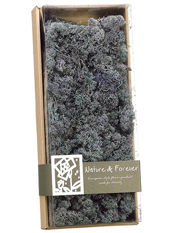 0033849439304 - 4.1HX7WX17L ASSORTED PRESERVED REINDEER MOSS IN BOX PURPLE GRAY (PACK OF 4)
