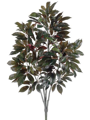 0033849669152 - 3 CAPENSIA TREE GREEN (PACK OF 6)