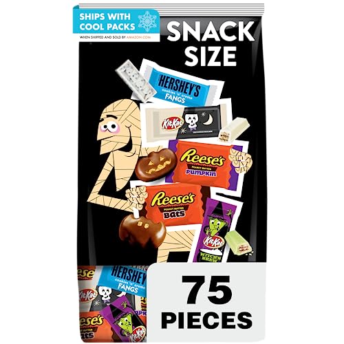 0034000943838 - CONTAINS ONE 38.22-OUNCE, 75-PIECE BULK VARIETY BAG OF ASSORTED HERSHEY SNACK SIZE CANDIES
