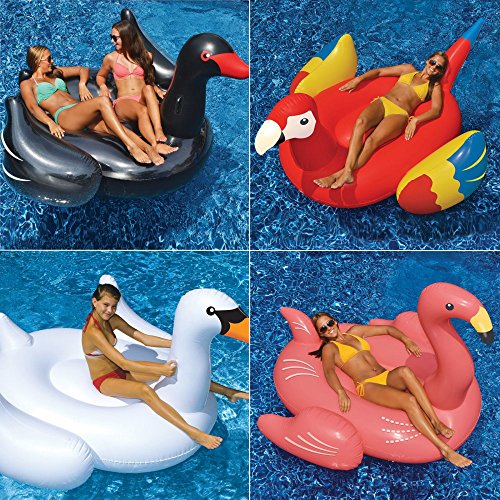 0034261990022 - SWIMLINE SWANS FLAMINGO AND PARROT POOL FLOATS - SET OF 4