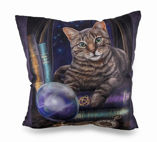 0345013450207 - THE FORTUNE TELLER DECORATIVE THROW PILLOW BY LISA PARKER 16IN.