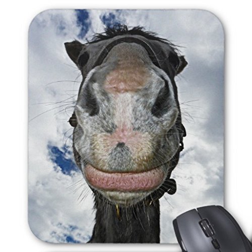 3519338407445 - FUNNY HORSE SMILES MOUSE PAD 9.84X7.87