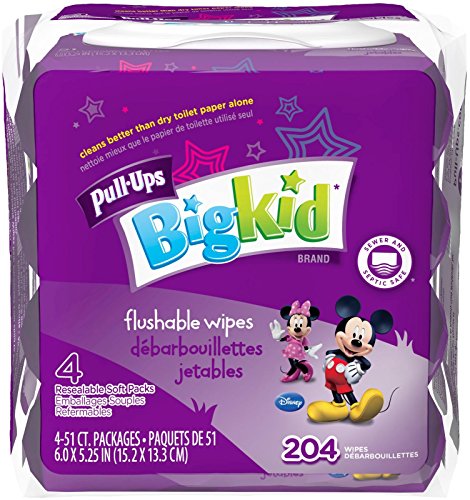0036000372649 - PULL-UPS BIG KID FLUSHABLE WIPES 204 COUNT