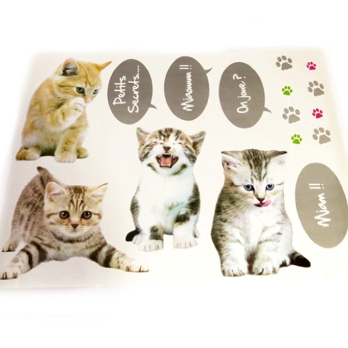 3609521224727 - BOARD STICKERS 'UN AMOUR D'ANIMAUX' CATS (50X70 CM (0.00''X27.56'') ).