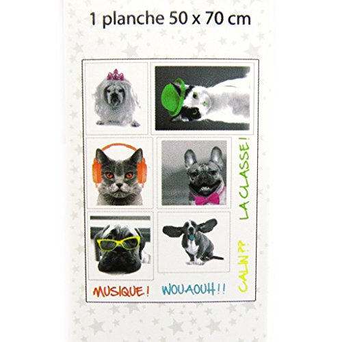 3609521249928 - BOARD STICKERS 'UN AMOUR D'ANIMAUX' CATS DOGS (50X70 CM (0.00''X27.56'') ).