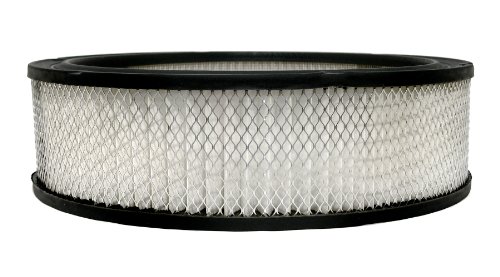 0036666115093 - ACDELCO A348C PROFESSIONAL AIR FILTER