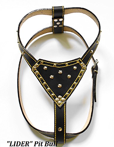 3800127314236 - BREASTPLATE LIDER OF PIT BULL OF NATURAL CALFSKIN EXTREMELY STRONG,HIGH QUALITY,BLACK