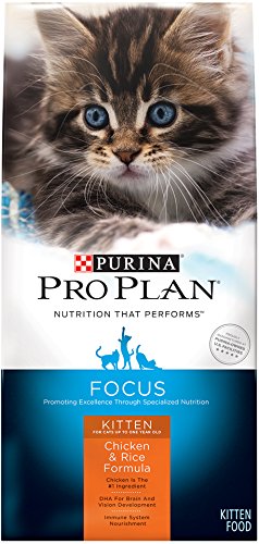 0038100131676 - PURINA PRO PLAN DRY CAT FOOD, FOCUS, KITTEN CHICKEN AND RICE FORMULA, 7-POUND BAG, PACK OF 1