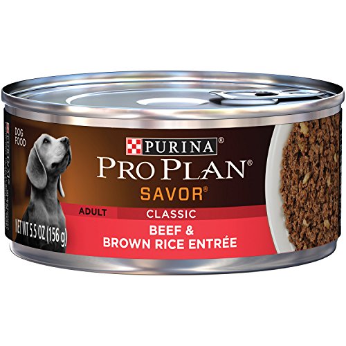 0038100139405 - PURINA PRO PLAN WET DOG FOOD SAVOR, BEEF & BROWN RICE ENTREE, 5.5-OUNCE CAN, PACK OF 24