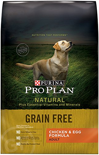0038100170989 - PURINA PRO PLAN DRY DOG FOOD BAG WITH CHICKEN AND EGG FORMULA, 24-POUND, 1-PACK