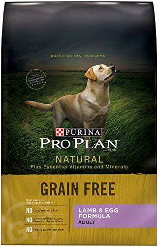 0038100171023 - PURINA PRO PLAN DRY DOG FOOD BAG WITH FREE LAMB AND EGG FORMULA, 24-POUND, 1-PACK