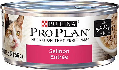 0038100175359 - PURINA PRO PLAN WET CAT FOOD, SAVOR, SALMON ENTRE, 5.5-OUNCE CAN, PACK OF 24