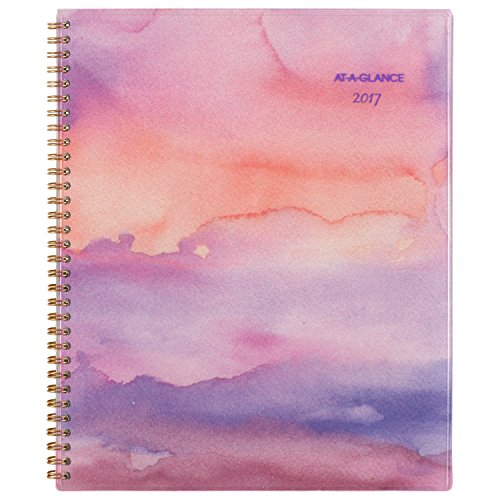 0038576025677 - AT-A-GLANCE WEEKLY / MONTHLY PLANNER / APPOINTMENT BOOK 2017, 8-1/2 X 11, PARADISE PUNCH (119-905)
