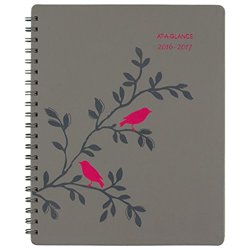 0038576057074 - AT-A-GLANCE ACADEMIC YEAR WEEKLY / MONTHLY APPOINTMENT BOOK / PLANNER, JULY 2016-JUNE 2017, 8-1/2X11, POP ROBIN (601-905A)