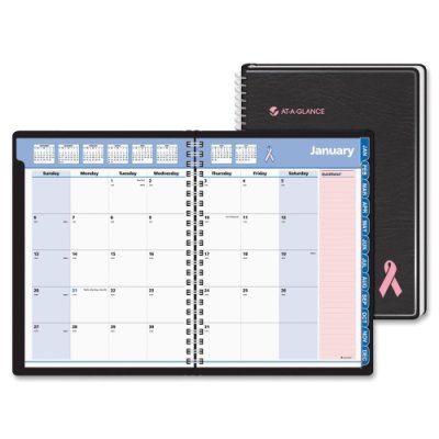0038576128415 - AT-A-GLANCE 76PN0605 QUICKNOTES SPECIAL EDITION MONTHLY PLANNER, 9 1/4 X 11 3/8, BLACK/PINK, 2016