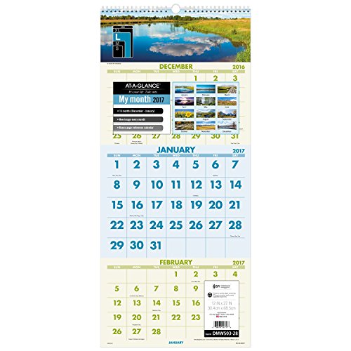 0038576247178 - AT-A-GLANCE(R) VISUAL ORGANIZER(R) VERTICAL MONTHLY RECYCLED WALL CALENDAR, 12 1