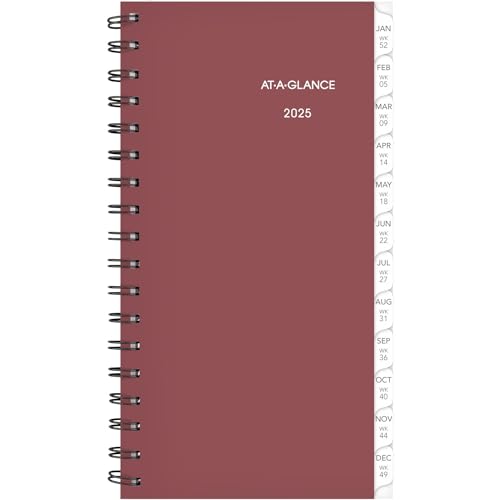 0038576263765 - AT-A-GLANCE 2025 PLANNER REFILL, WEEKLY, 3-1/4 X 6-1/2, PORTABLE SIZE (064-287-25)