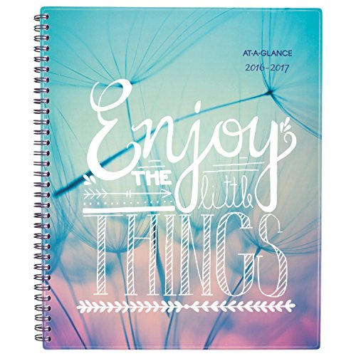 0038576322073 - AT-A-GLANCE ACADEMIC YEAR WEEKLY / MONTHLY PLANNER / APPOINTMENT BOOK, JULY 2016 - JUNE 2017, 8-1/2X11, DESIGN SELECTED FOR YOU MAY VARY (183-905A)