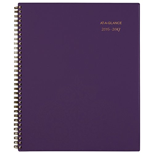 0038576323674 - AT-A-GLANCE(R) WEEKLY/MONTHLY APPOINTMENT BOOK, 8 1/2IN. X 11IN., 30% RECYCLED,