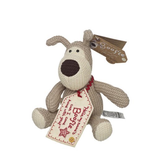 3981158374878 - BUDGET GIFTS HELLO MY NAME'S BOOFLE CAN I COME HOME WITH YOU ? SOFT TOY 5.5 INCH GIFT