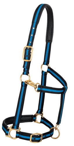 0000399430099 - WEAVER LEATHER PADDED ADJUSTABLE CHIN AND THROAT SNAP HALTER, AVERAGE HORSE SIZE, BLUE