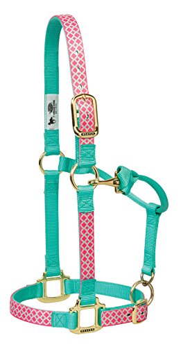0000399675766 - WEAVER LEATHER 35-6755-P5 QUATREFOIL PATTERNED ADJUSTABLE CHIN AND THROAT SNAP HALTER, 1-INCH AVERAGE HORSE, PINK/TURQUOISE QUATREFOIL