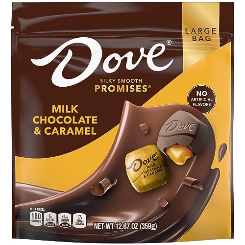0040000597100 - DOVE PROMISES MILK CHOCOLATE & CARAMEL CANDY, 12.67 OZ LARGE BAG