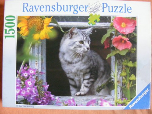 4005556165117 - RAVENSBURGER CHRISTMAS IS COMING! 1000 PIECE JIGSAW PUZZLE FOR ADULTS - EVERY PIECE IS UNIQUE, SOFTCLICK TECHNOLOGY MEANS PIECES FIT TOGETHER PERFECTLY