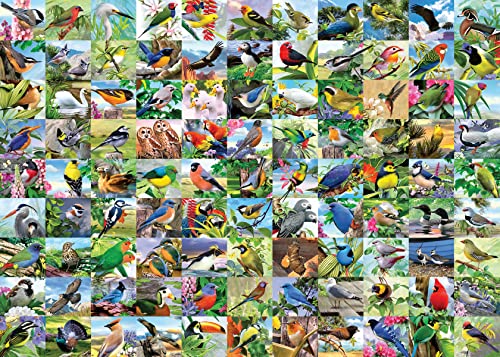 4005556169375 - RAVENSBURGER 99 DELIGHTFUL BIRDS 300 PIECE JIGSAW PUZZLE FOR ADULTS – EVERY PIECE IS UNIQUE, SOFTCLICK TECHNOLOGY MEANS PIECES FIT TOGETHER PERFECTLY
