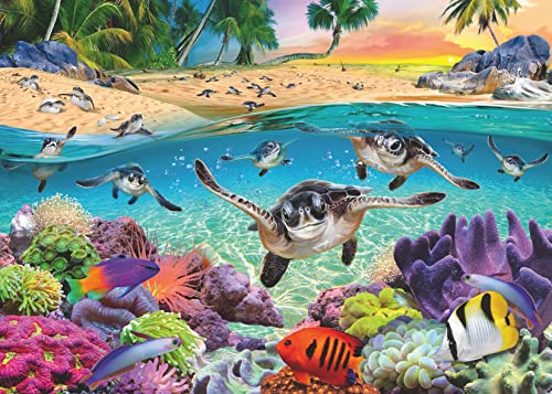 4005556174560 - RAVENSBURGER RACE OF THE BABY SEA TURTLES 500 PIECE LARGE FORMAT JIGSAW PUZZLE FOR ADULTS - 17456 - EVERY PIECE IS UNIQUE, SOFTCLICK TECHNOLOGY MEANS PIECES FIT TOGETHER PERFECTLY