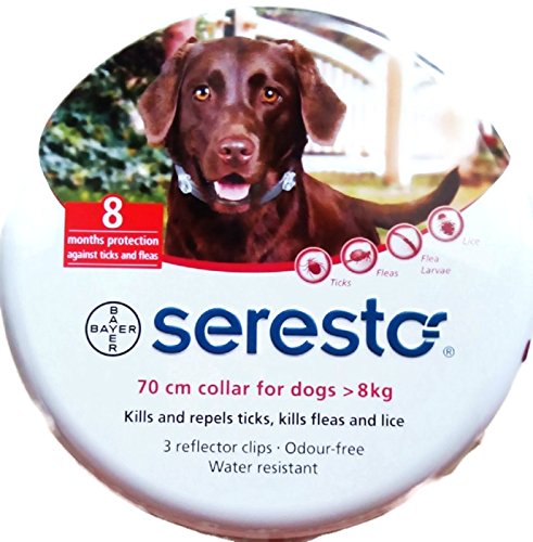 4007221041702 - 2-PACKS SERESTO FLEA AND TICK COLLAR FOR DOGS OVER 8 KG, LARGE DOGS