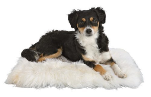 4011905028514 - TRIXIE GENUINE SHEEPSKIN CUSHION FOR CATS & DOGS