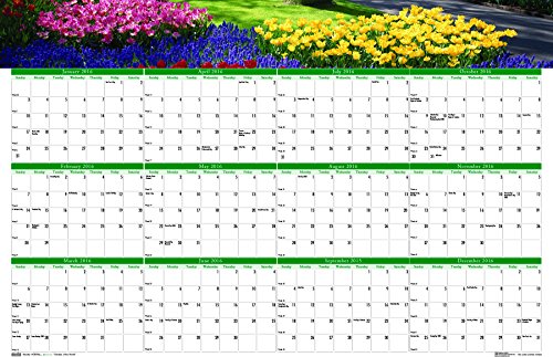 0040983394284 - HOUSE OF DOOLITTLE 2016 LAMINATED WIPE OFF WALL CALENDAR, 24 X 37, EARTHSCAPES GARDENS (HOD394-16)