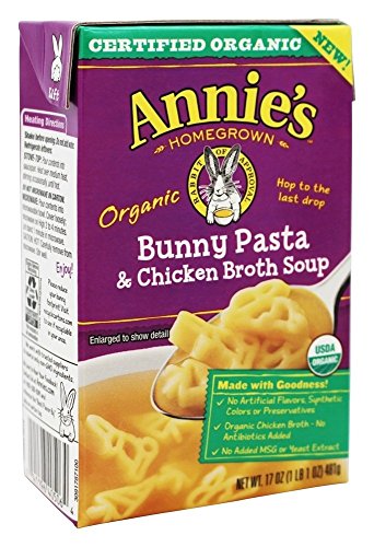 0041196405064 - ANNIE'S HOMEGROWNTM ORGANIC BUNNY PASTA & CHICKEN BROTH SOUP 17 OZ.